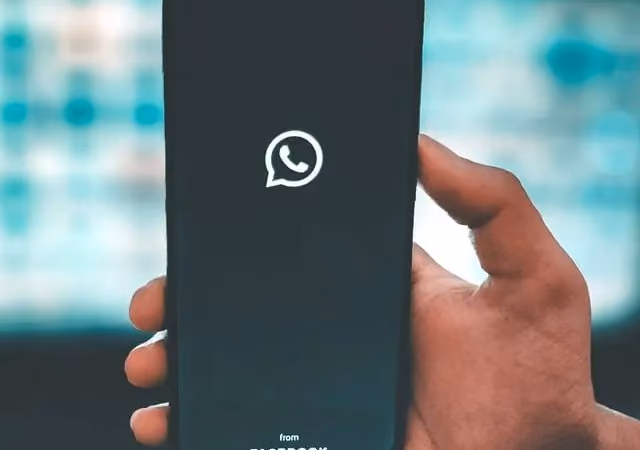 How to Check WhatsApp Hidden Last Seen