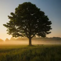 img of Merkle Tree Magic: The Ultimate Guide to Data Integrity