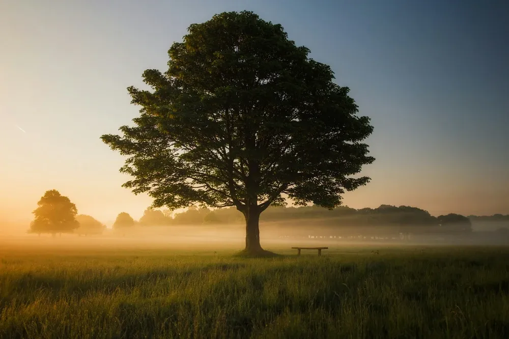 Merkle Tree Magic: The Ultimate Guide to Data Integrity