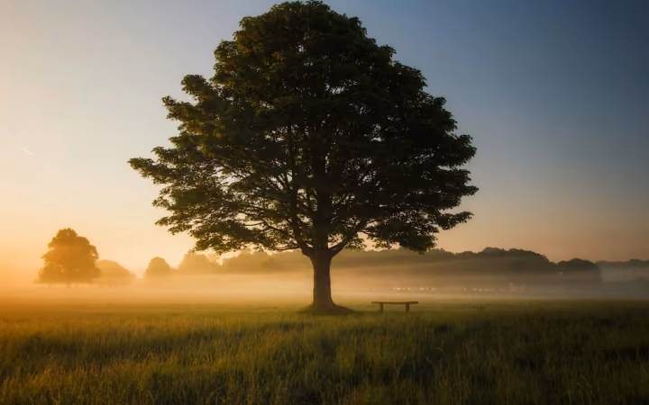 Merkle Tree Magic: The Ultimate Guide to Data Integrity