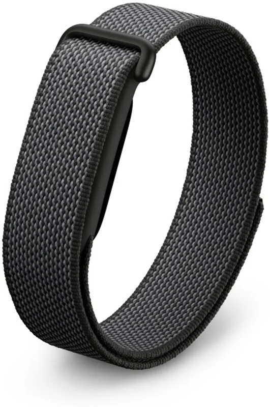 Google Fitbit Air